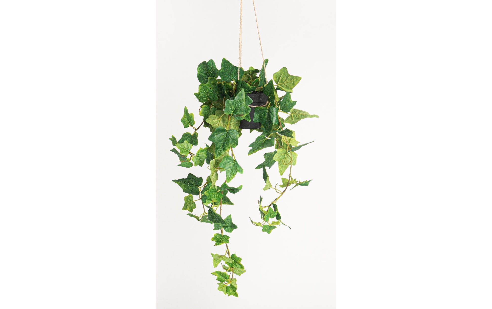 Botanic-Haus Efeu – Künstliche Topfpflanze – Ø 38 × 85 cm – Kunststoff, Grün