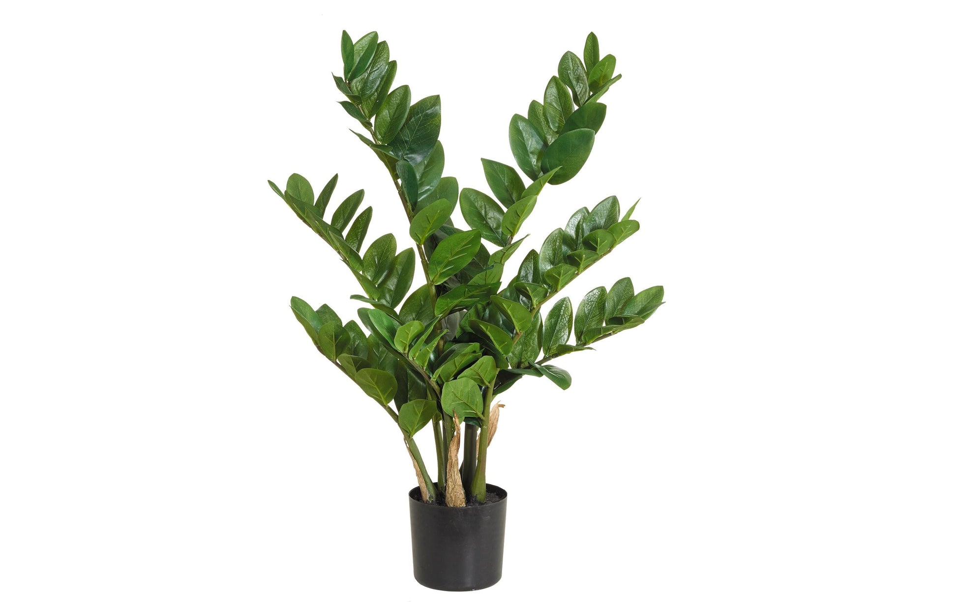 Botanic-Haus Künstliche Topfpflanze – Ø 25 × 70 cm – Kunststoff, Grün – 6er-Pack