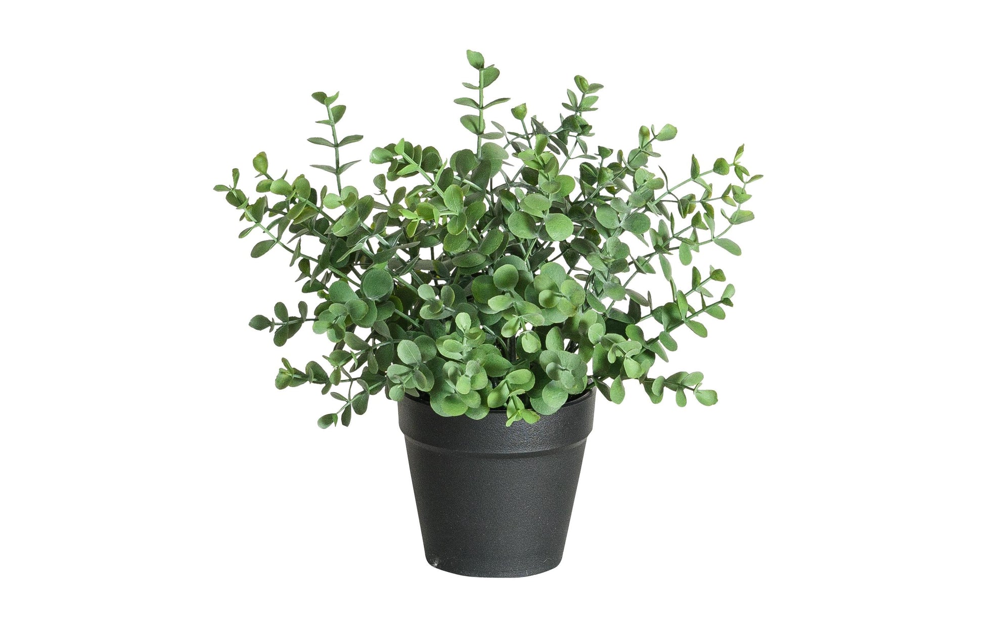 Botanic-Haus Eukalyptus Künstliche Topfpflanze – Ø 13 × 21 cm – Kunststoff, Grün