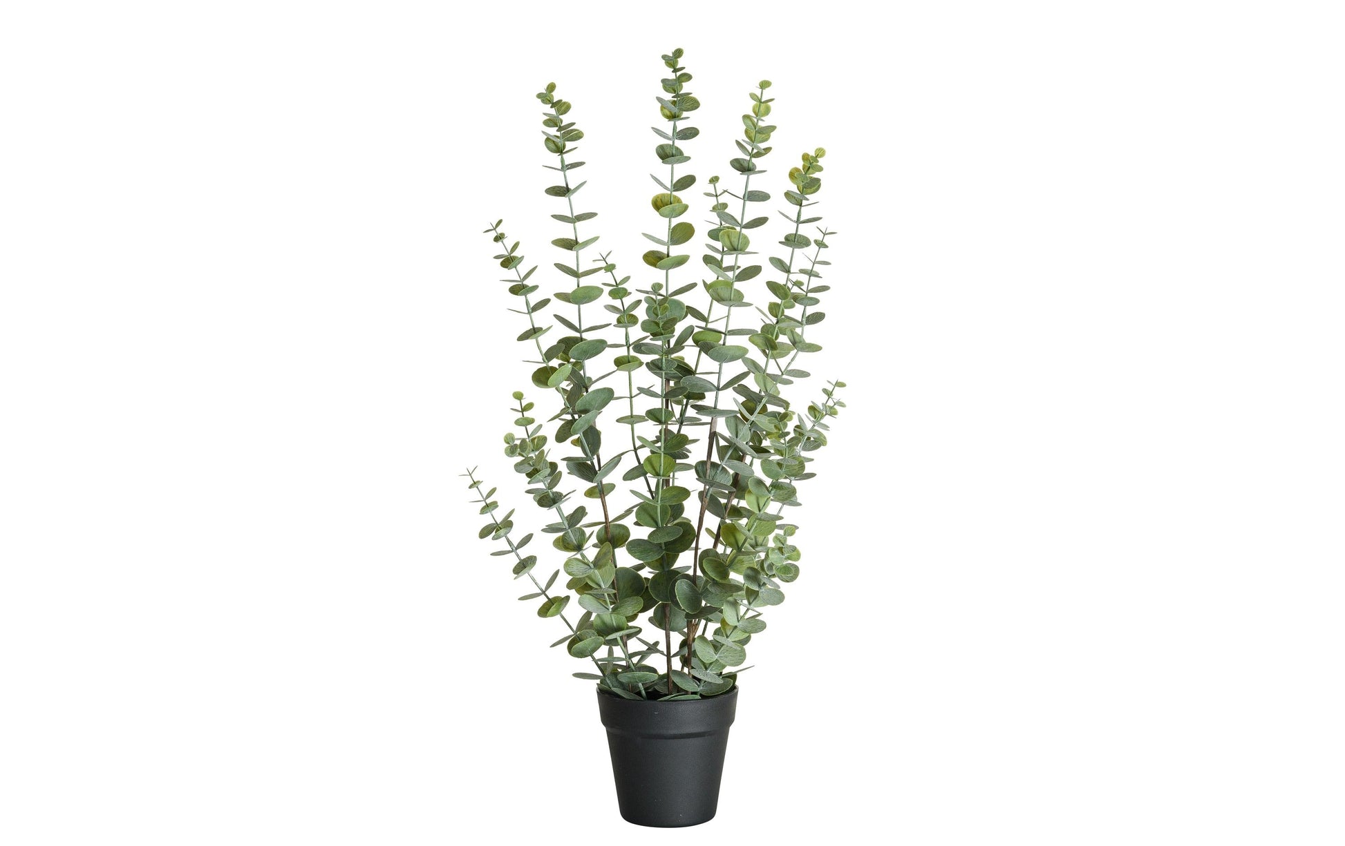 Botanic-Haus Topfpflanze – Ø 40 × 76 cm – Kunststoff, Grün, 4-teilig