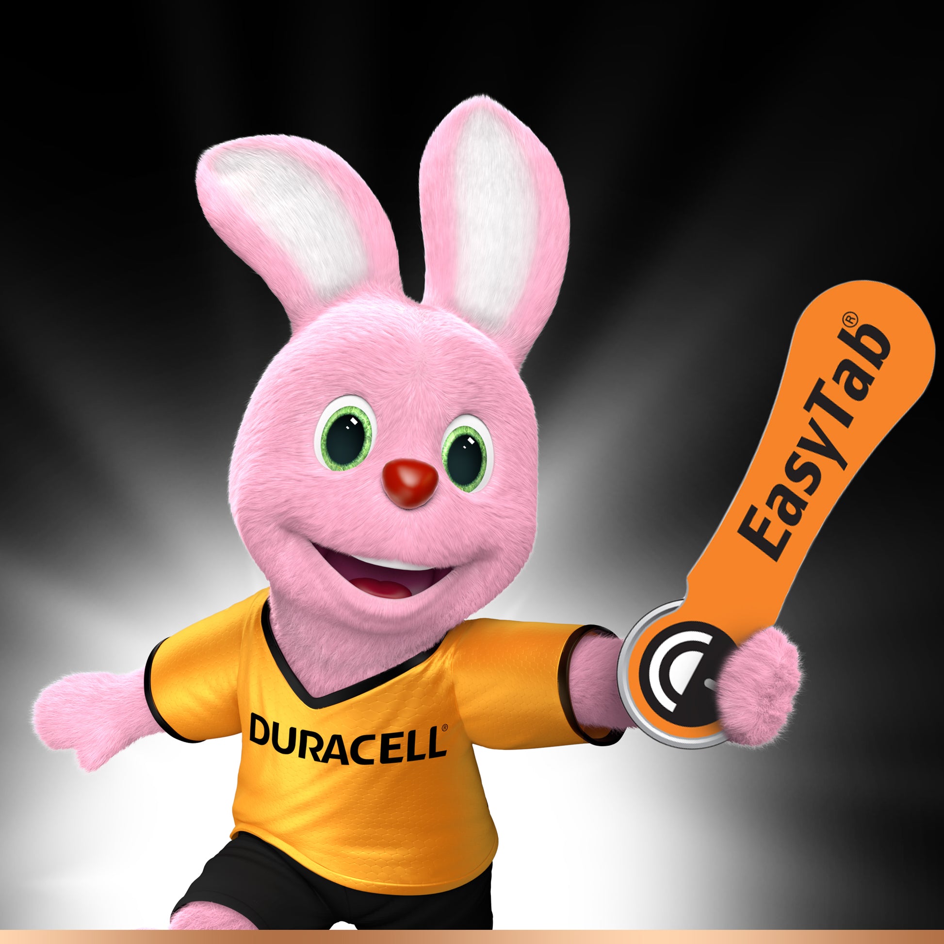 Duracell PR48 Akku 1,45 V 310 mAh 0,45 Wh Zink-Luft – für Hörgeräte