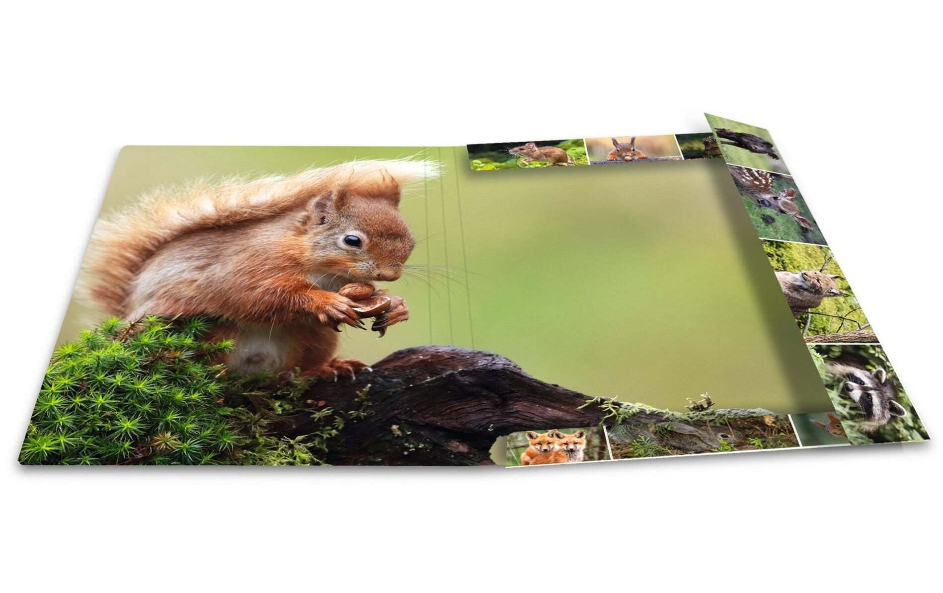 HERMA Eckspannermappe Waldtiere A3 – Gummiband, Karton, Mehrfarbig