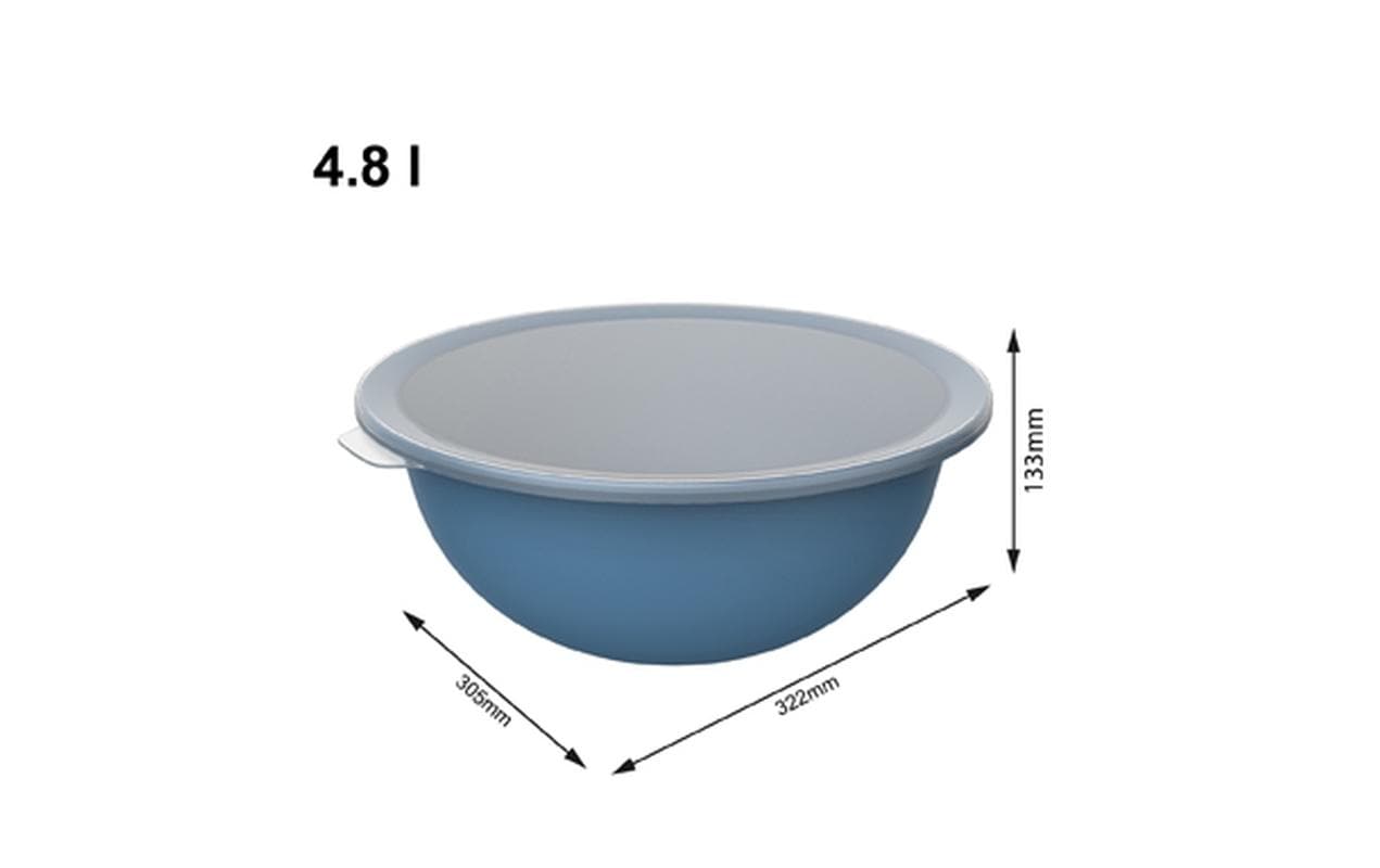 Rotho Schüssel Caruba – 4,8 l – mit Deckel, stapelbar, spülmaschinenfest – PP – blau – 32,2 × 13,3 × 30,5 cm