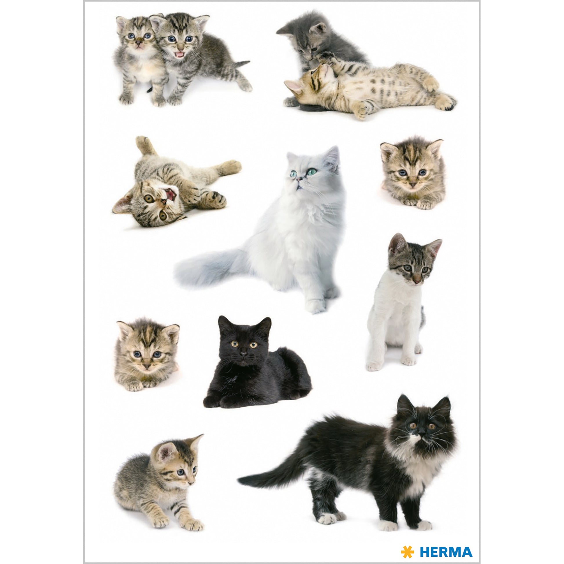 HERMA Schmucketiketten, Decor – 84 × 120 mm – Mehrfarbig – 3 Blatt
