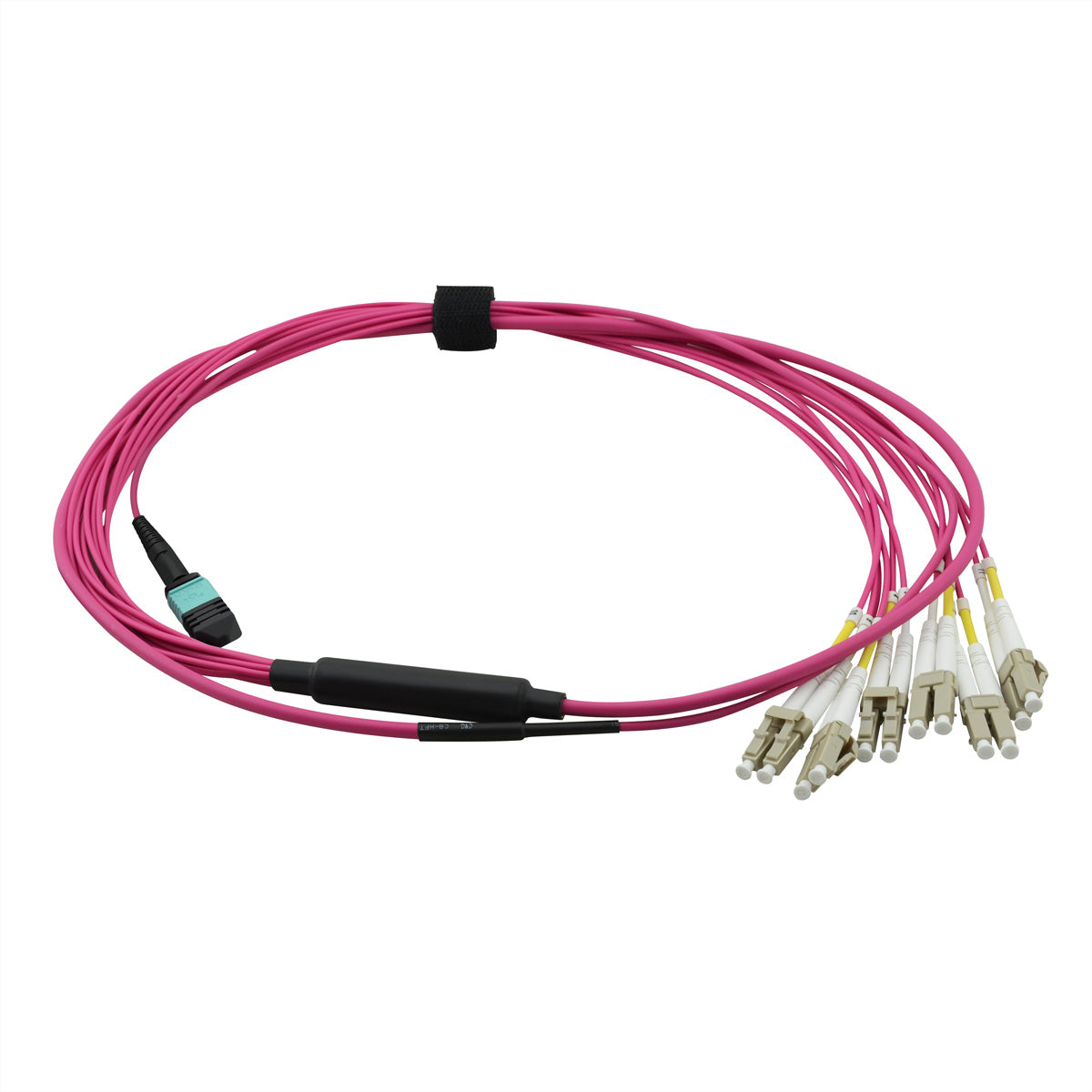 VALUE LWL-Patchkabel – MPO–12× LC, Multi-Mode OM4, 2 m, LSZH, violett