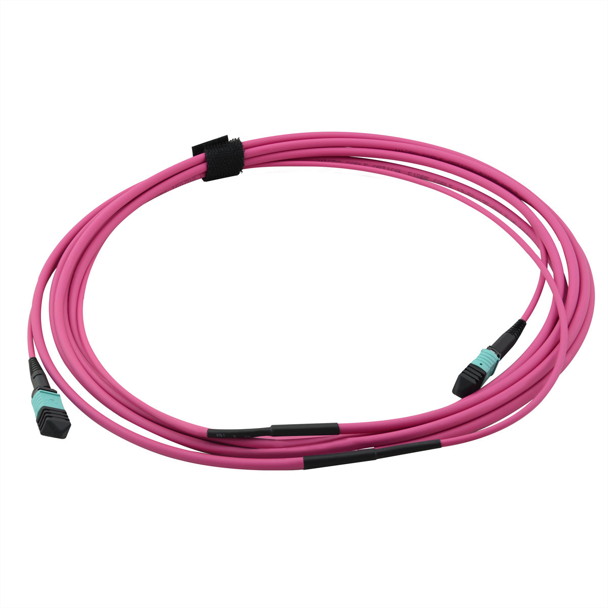 VALUE LWL-Patchkabel – MPO–MPO, Multimode OM4, 12-faserig, 3 m, violett, LSOH