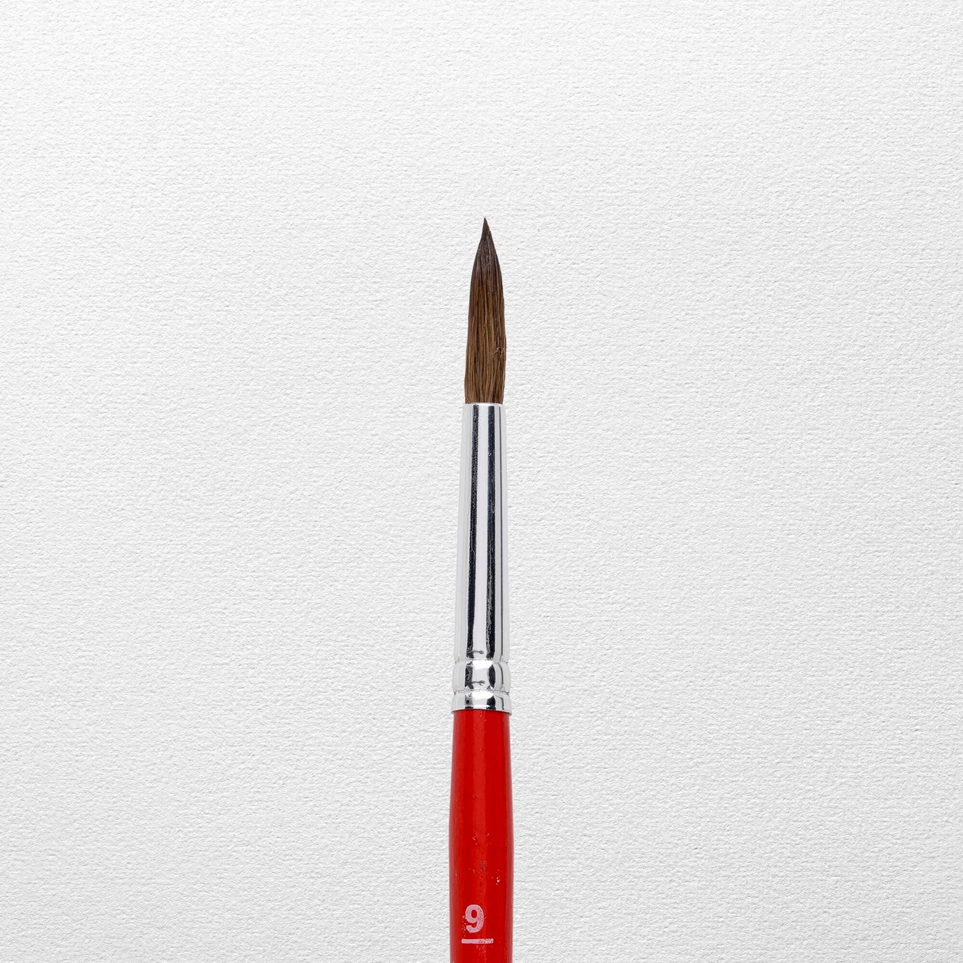 Talens Aquarellpinsel-Set – Rot, Grösse 9 (5,4 mm), 12er-Pack