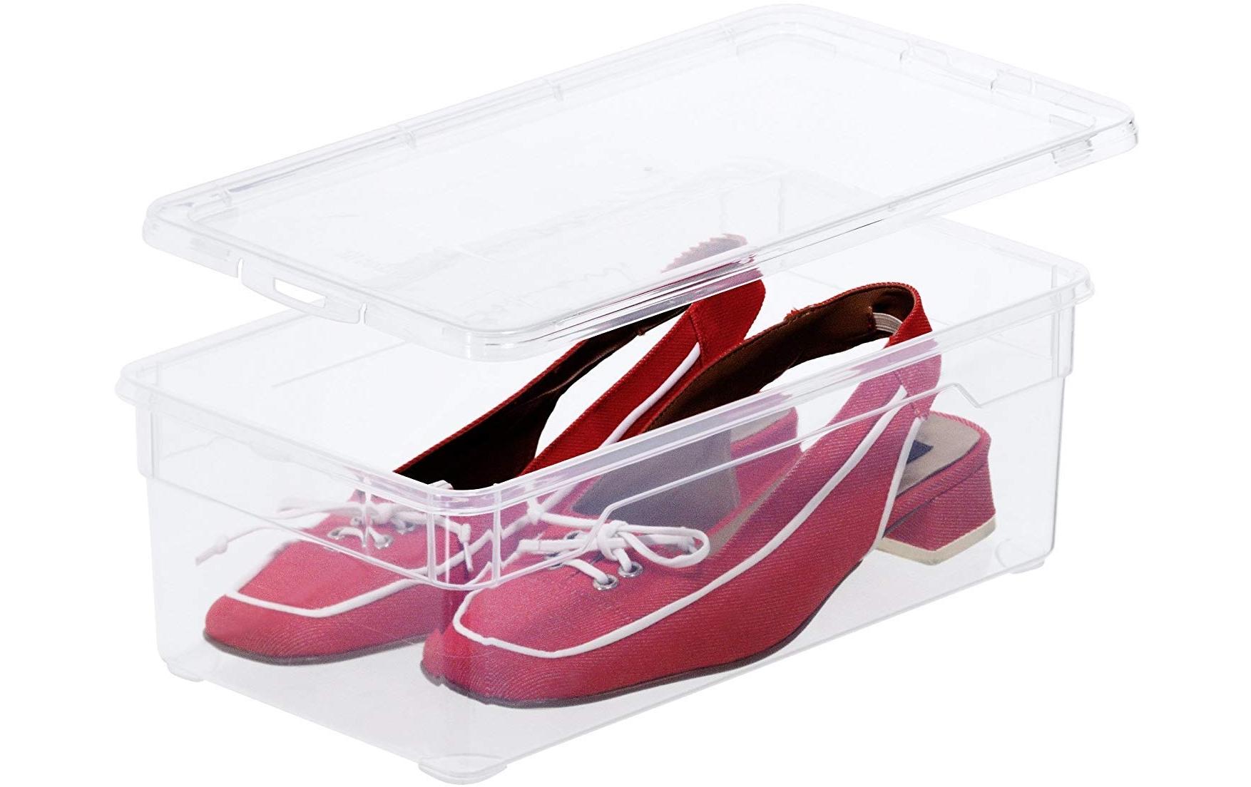 Rotho Clear Box Ablageschale – transparent – 335 × 110 × 190 mm