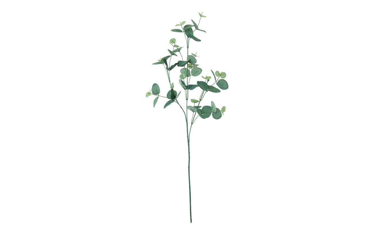 Dekomat AG Dekomat Trockenblumen – Grün – 76 cm – 1er-Pack