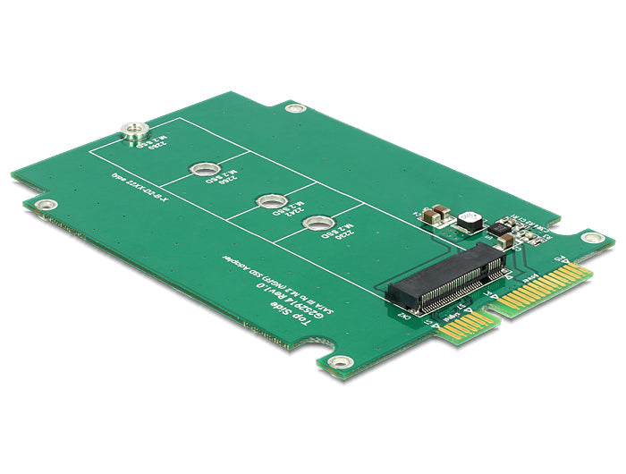 DeLOCK 62552 Adapterplatine M.2 zu SATA – 6 Gbit/s, inkl. 2,5" (9 mm) Einbaurahmen, für M.2 SATA SSDs