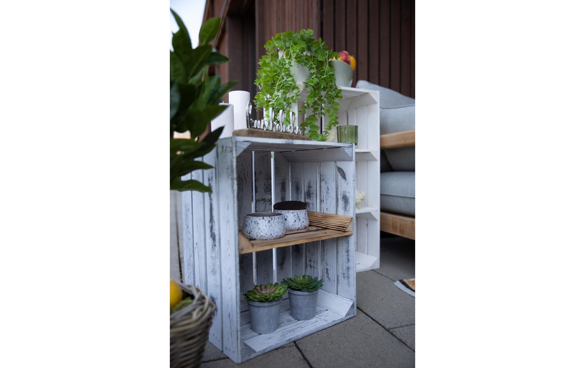 Botanic-Haus Eukalyptus Topfpflanze – 58 × 32 cm – Kunststoff, grün – 6-teilig