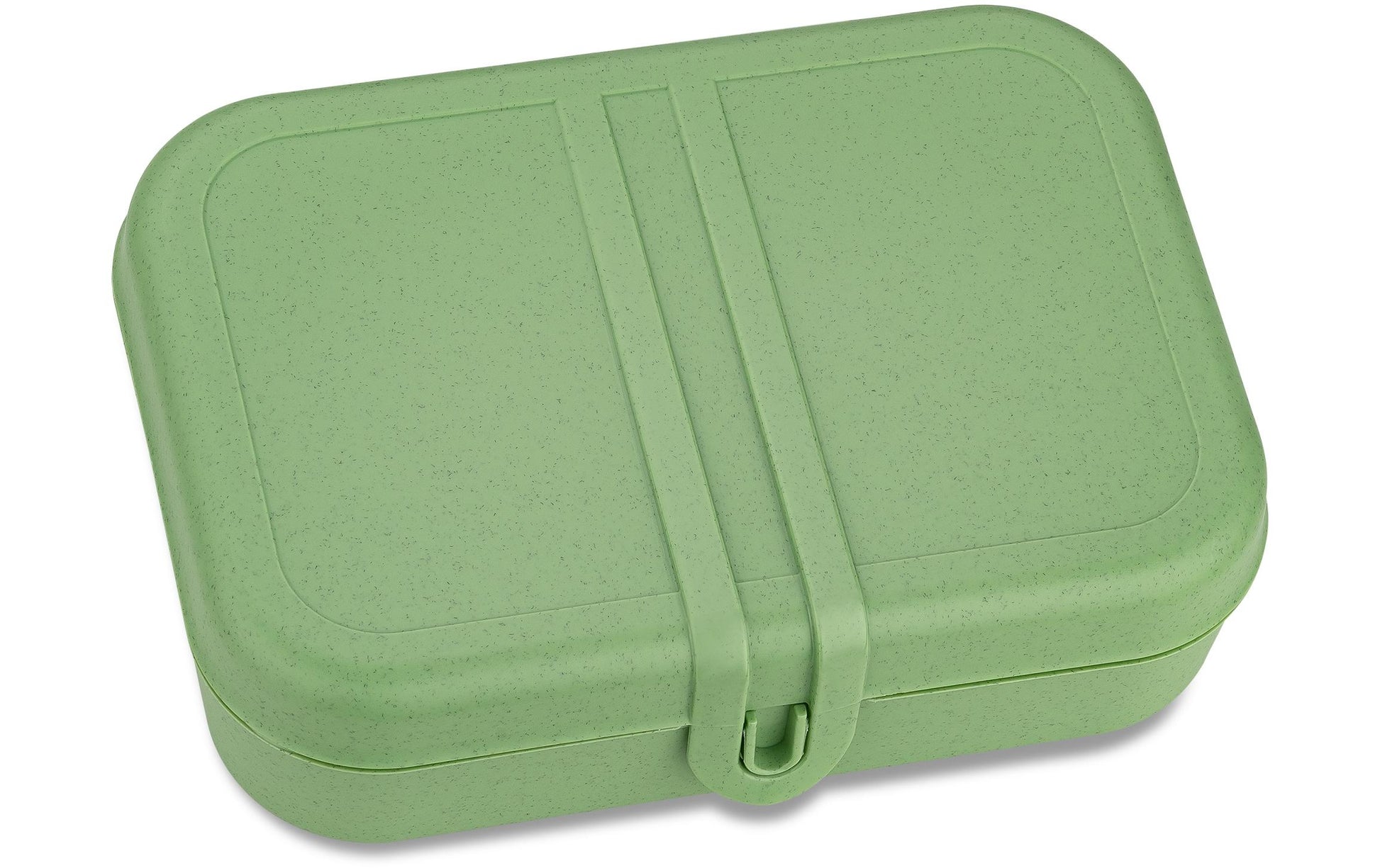 Koziol Pascal L – Lunchbox 23,2 × 16,6 × 6,2 cm, mit Trennsteg, Biokunststoff, grün