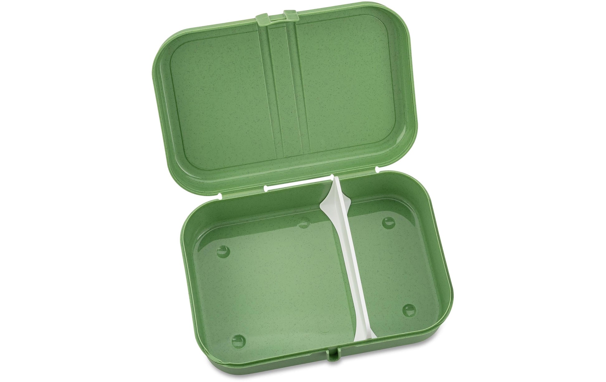 Koziol Pascal L – Lunchbox 23,2 × 16,6 × 6,2 cm, mit Trennsteg, Biokunststoff, grün