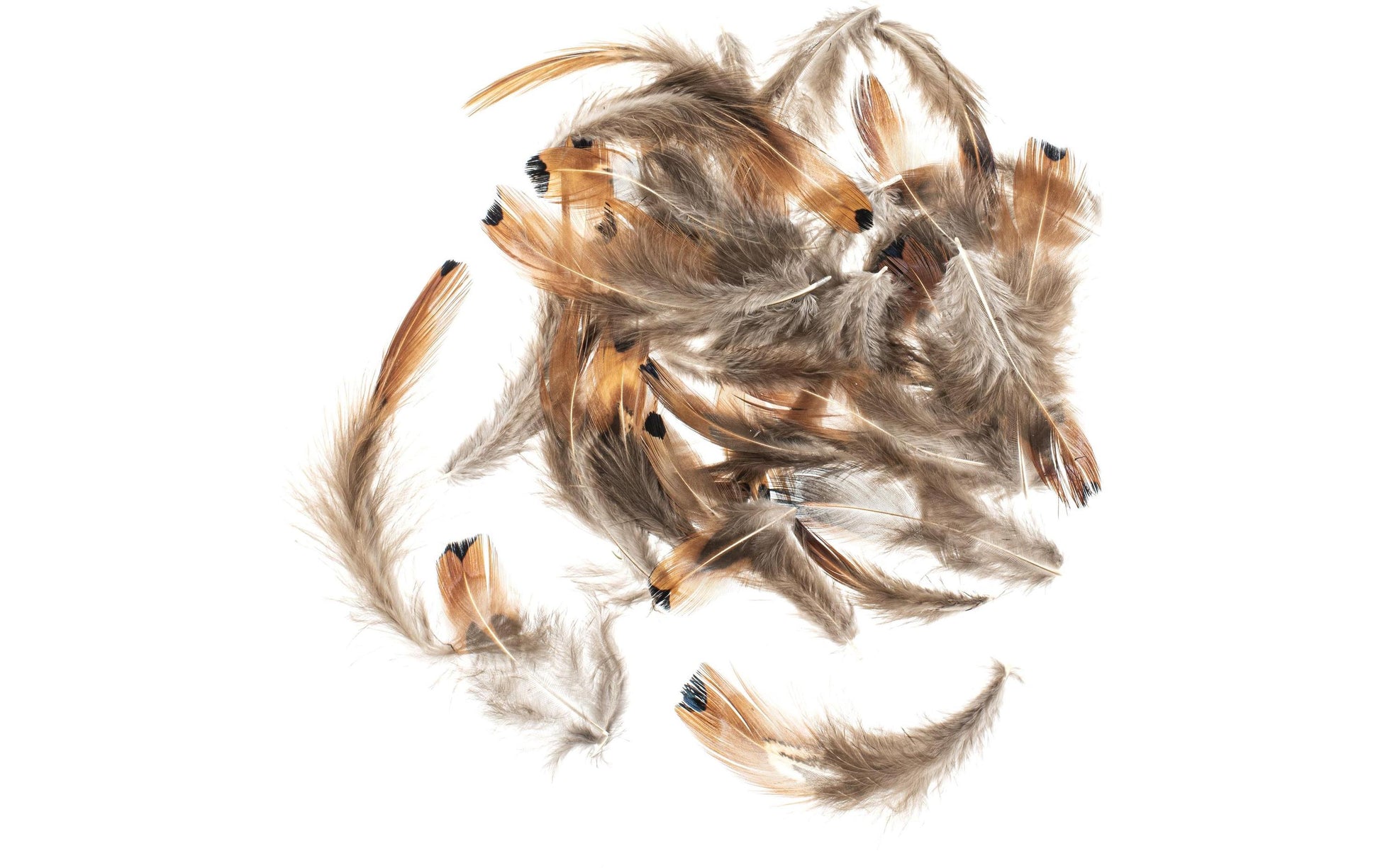 GLOREX Fasanenfedern, Braun, 12 cm, 10 g, 1 Stk., 6 3822 152