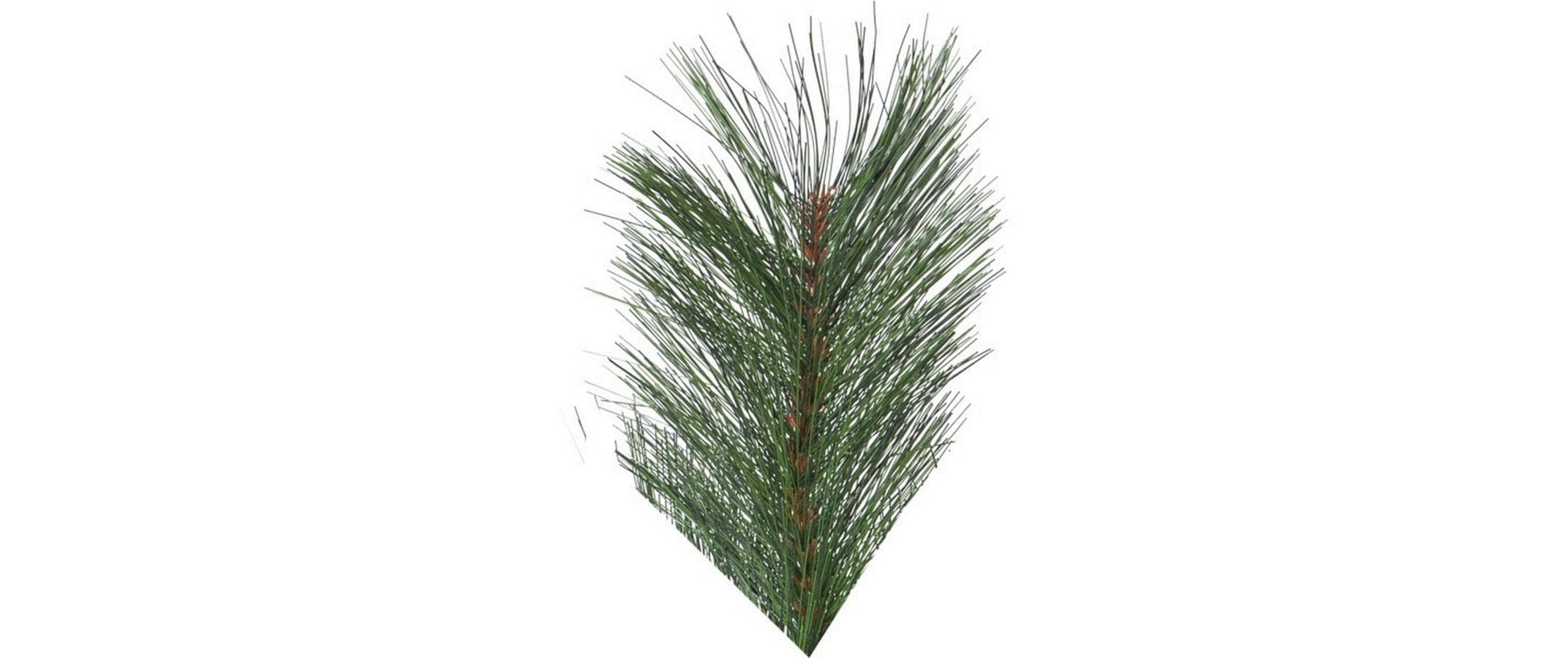 Star Trading Weihnachtsbaum – Ø 150 × 240 cm – grün, für Innen- & Aussenbereich, ohne Beleuchtung