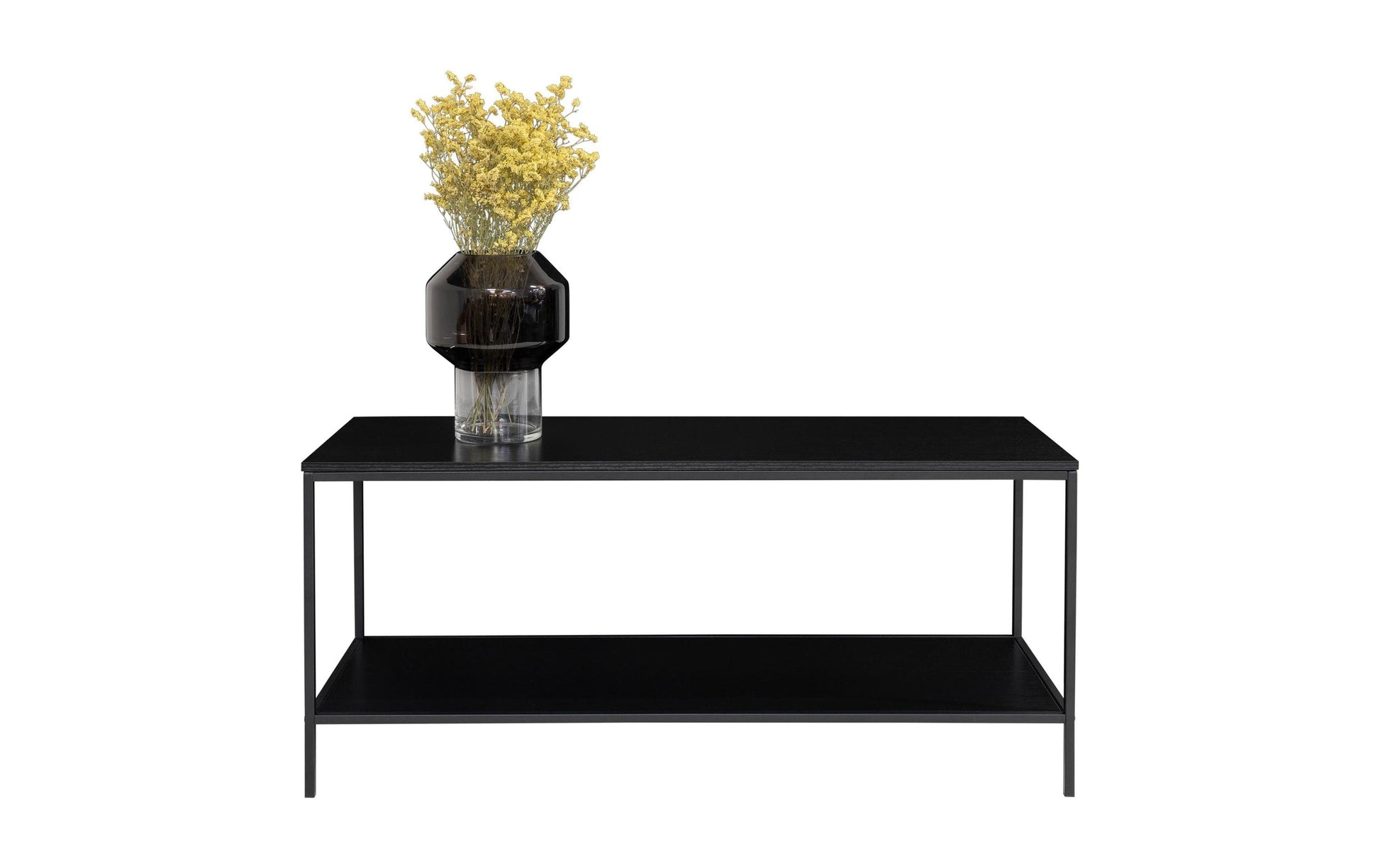 House Nordic TV-Möbel – schwarz, Stahl, 100 × 45 × 36 cm, mit 2 Regalen