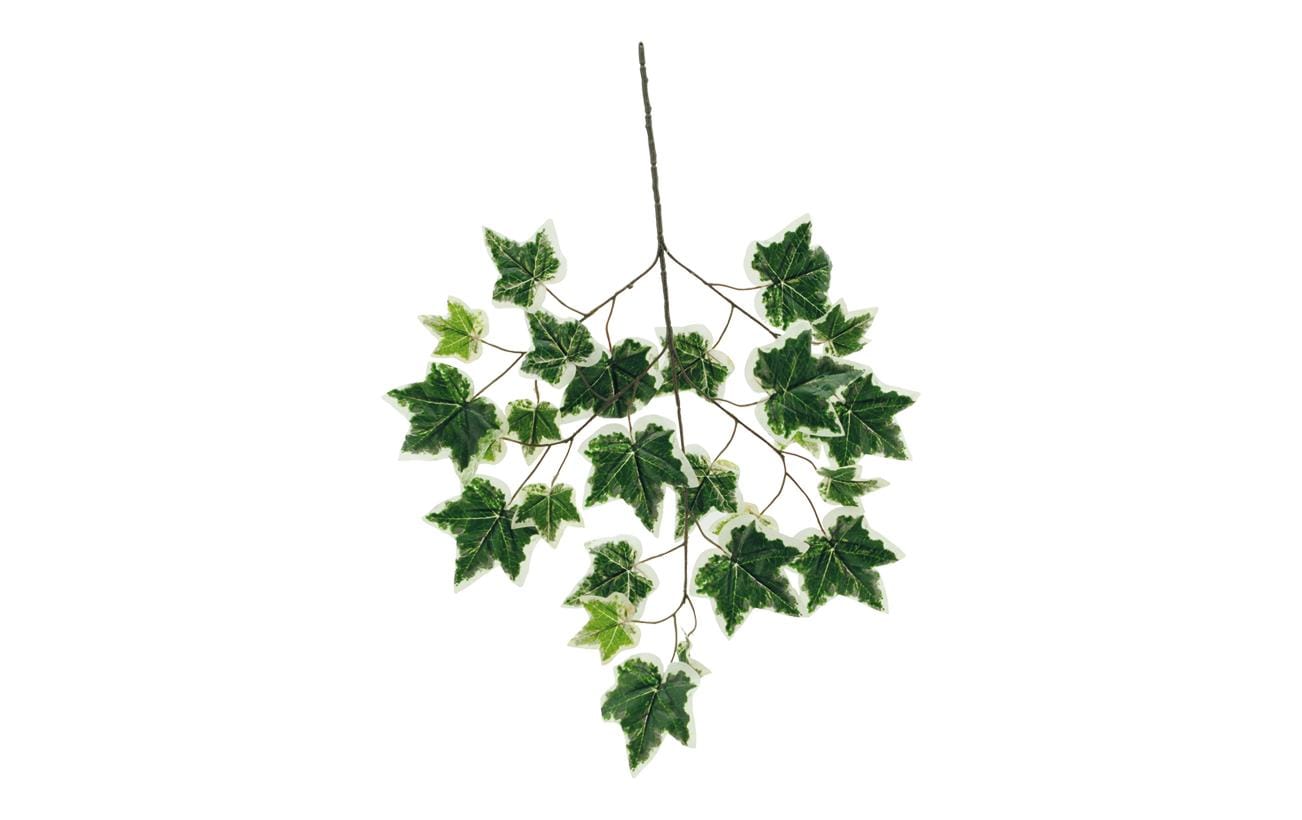 Dekomat AG Efeuzweig – 70 cm – Kunstseide & Kunststoff, Mehrfarbig