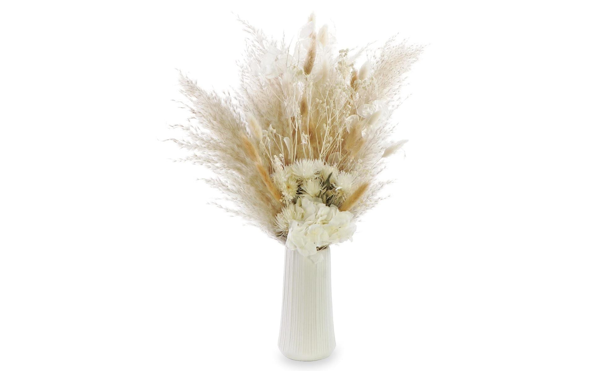Soli Collection Trockenblumen – Weiss – 60 cm