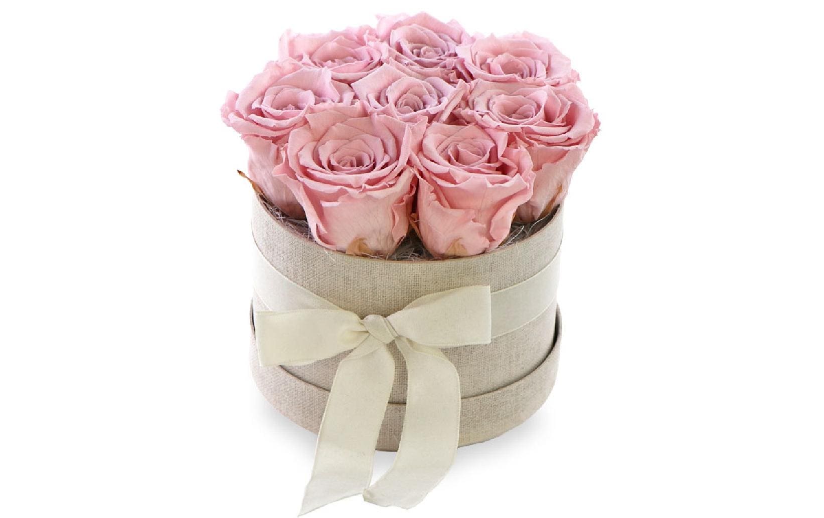 Soli Collection Trockenblumen Rosenbox – Rosa – 16 cm – 1 Stück