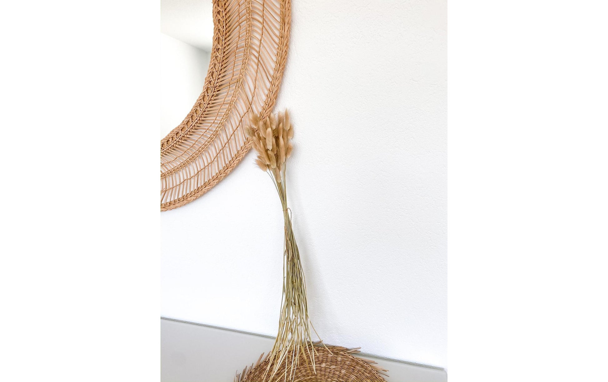 Soli Collection Trockenblumen Lagurus – natur – 50–60 cm – 50er-Pack