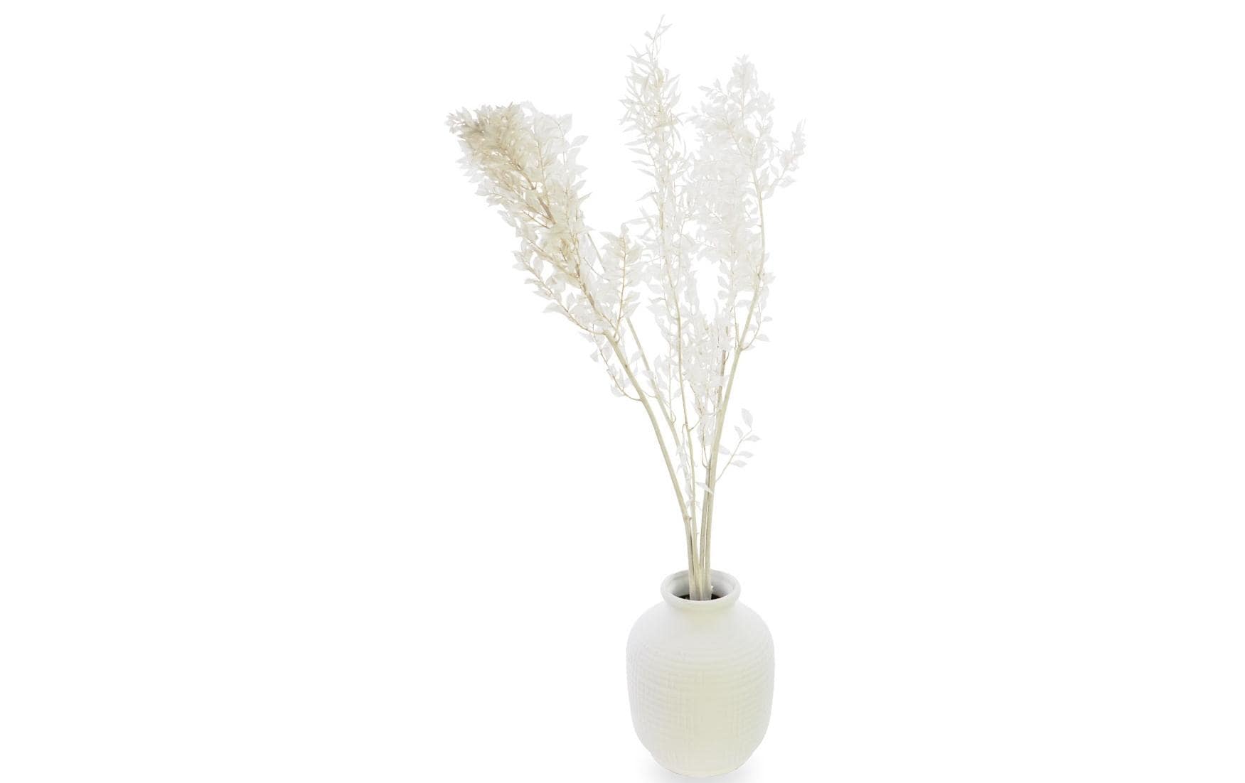 Soli Collection Trockenblumen – Weiss – 75 cm – 1er-Pack