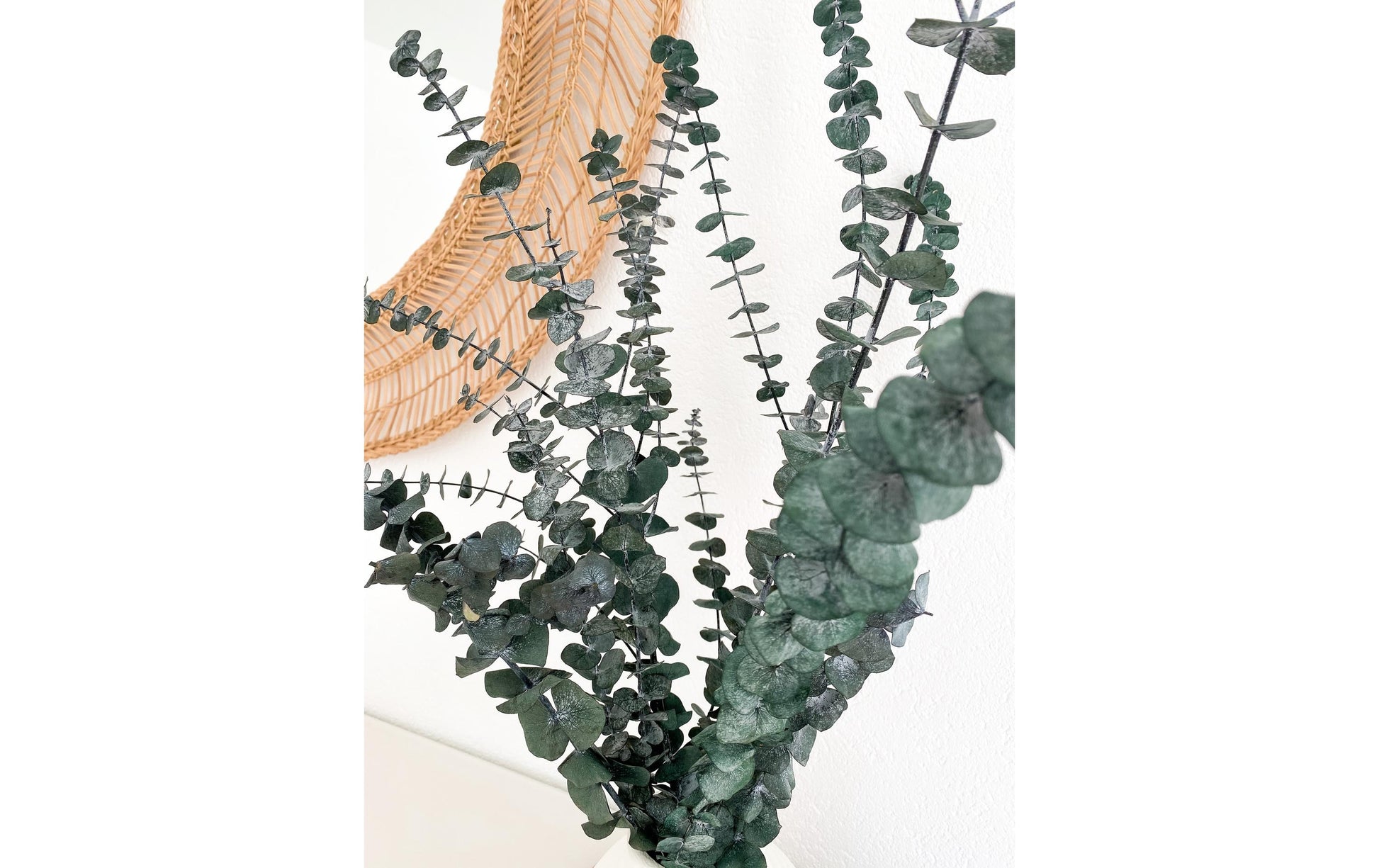 Soli Collection Trockenblumen – Grün – 40–55 cm – 1er-Pack