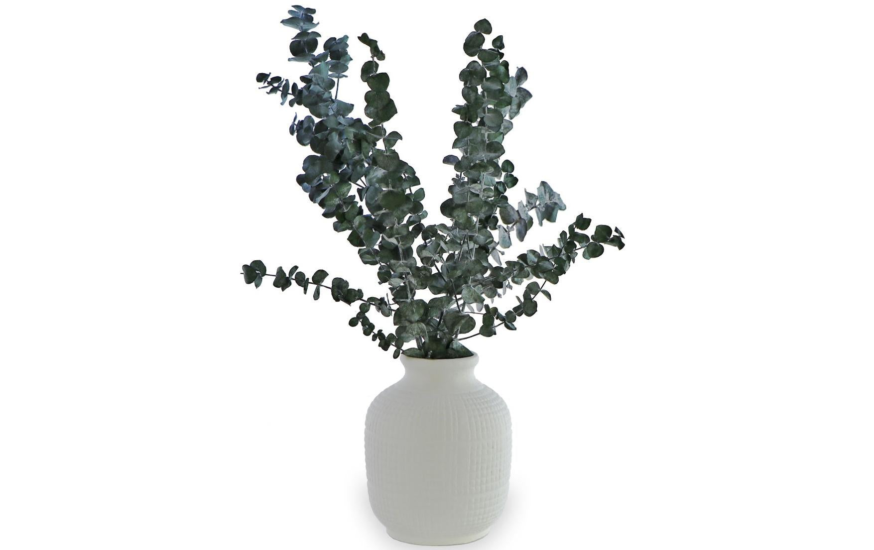 Soli Collection Trockenblumen – Grün – 40–55 cm – 1er-Pack