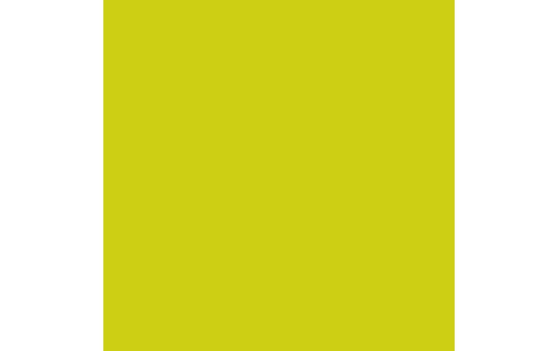 Duni Servietten Kiwi – 24 × 24 cm – 3-lagig, Tissue – 20 Stk., FSC