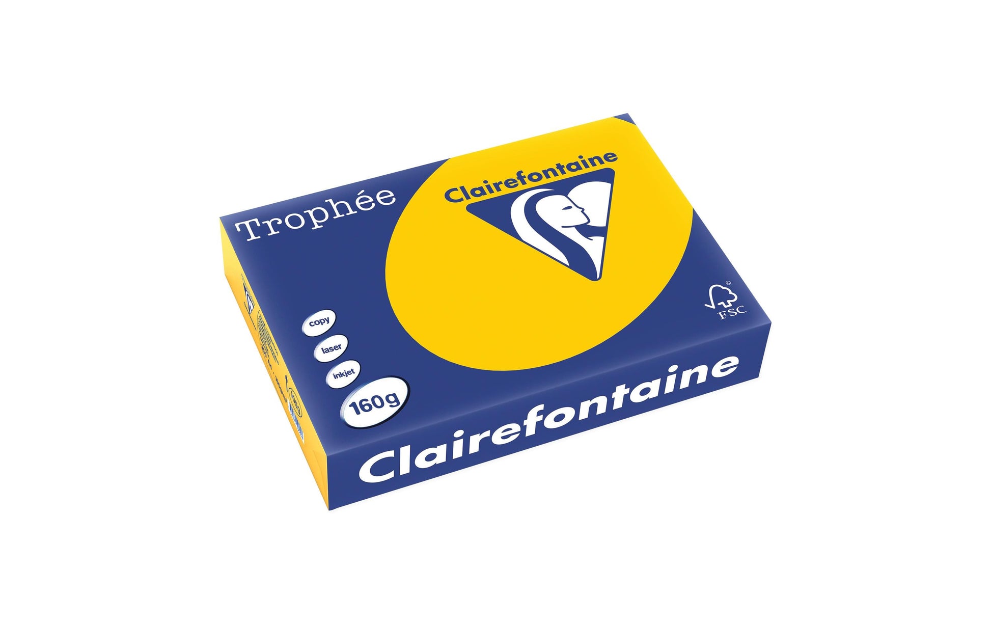 Clairefontaine Kopierpapier 2013 A4, 160 g/m² 2013 für Inkjet/Laser/Kopierer 2013 FSC, EU Ecolabel 2013 25