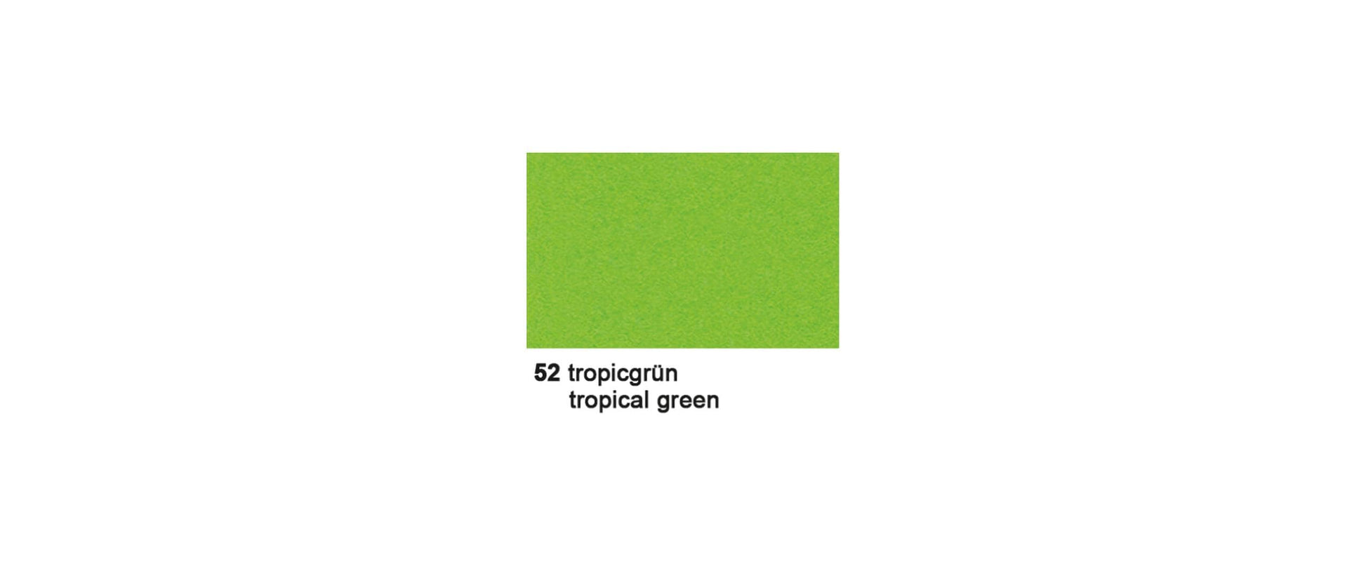 URSUS Fotokarton – 50 × 70 cm, grün, 300 g/m² – 10 Blatt