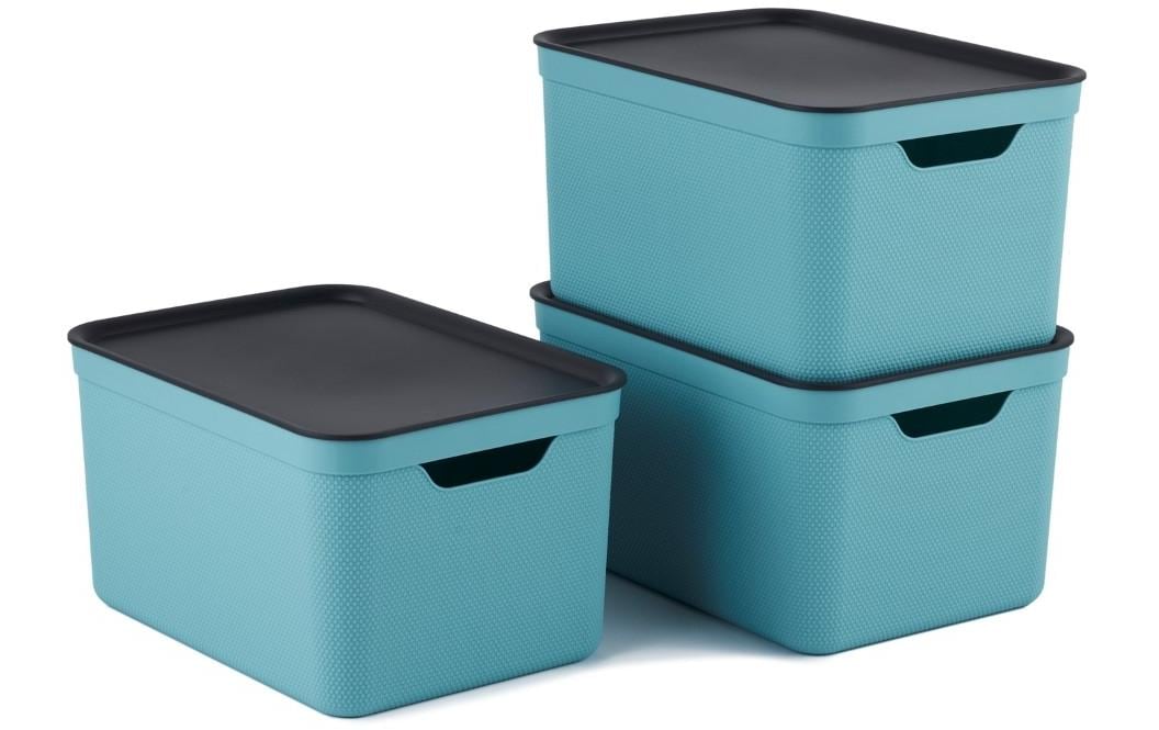 Rotho Jive Aufbewahrungsbox 16 l – für A4, mit Deckel, stapelbar, hellblau, Kunststoff, 3 Stück