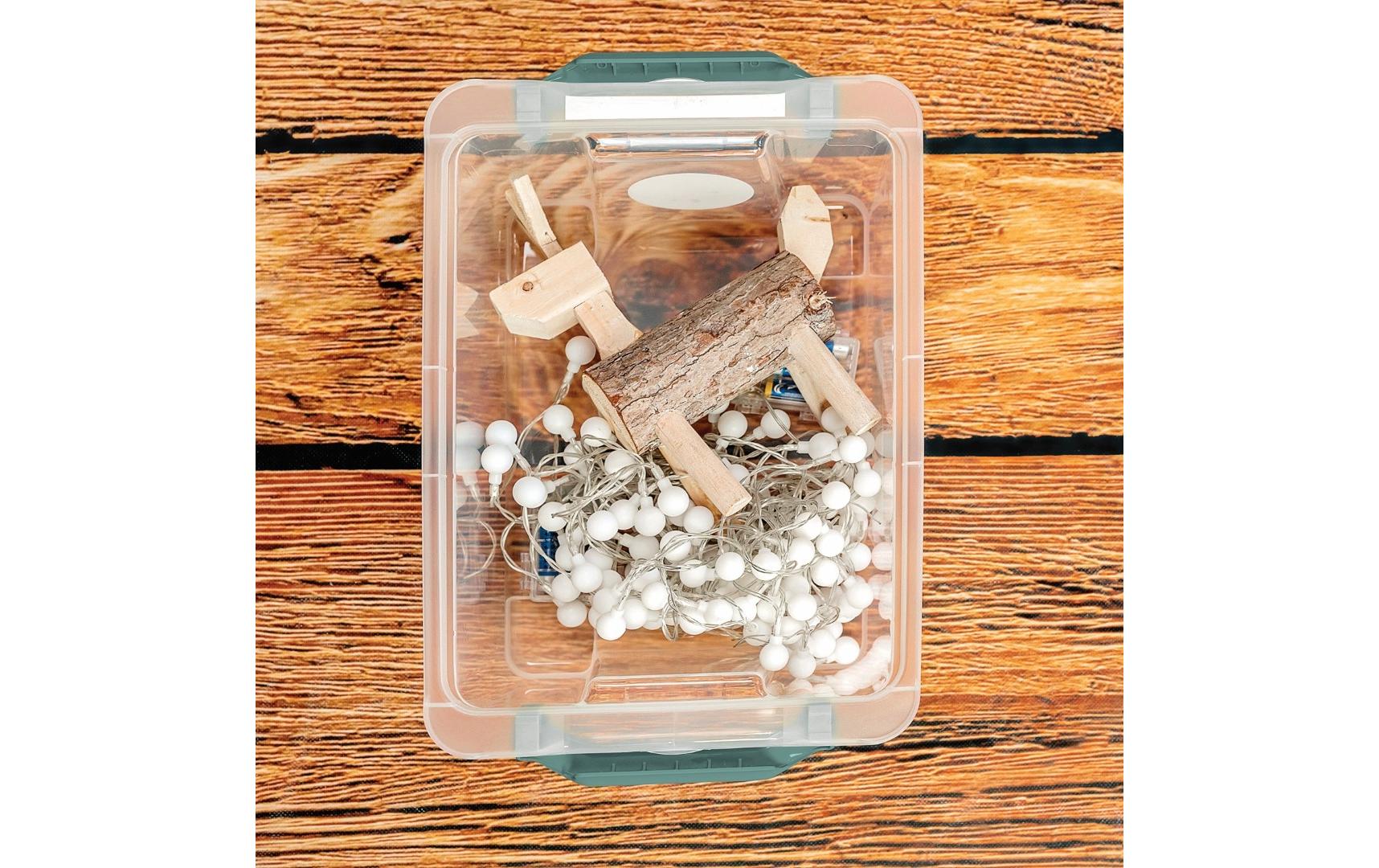 Rotho Aufbewahrungsbox Evo Safe – Kunststoff, transparent/grün, 39,3 × 16 × 28,3 cm