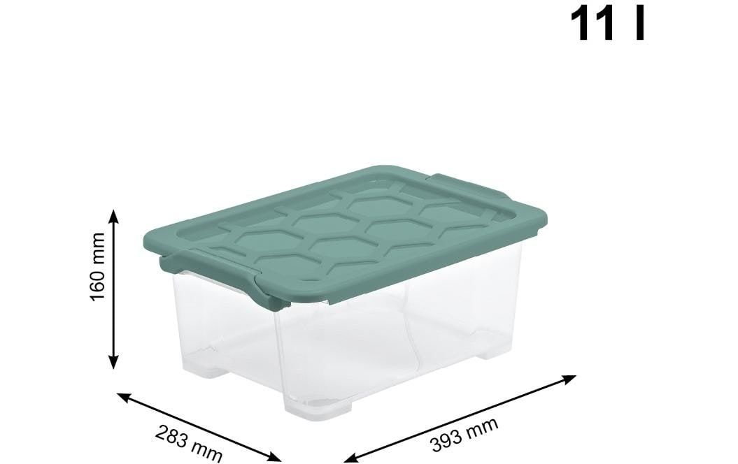 Rotho Aufbewahrungsbox Evo Safe – Kunststoff, transparent/grün, 39,3 × 16 × 28,3 cm