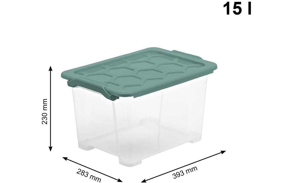 Rotho Aufbewahrungsbox Evo Safe – Kunststoff, transparent, 39,3 × 23 × 28,3 cm