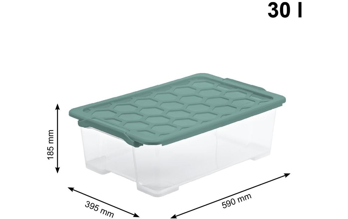 Rotho Aufbewahrungsbox Evo Safe – Kunststoff, Transparent, 59 × 18,5 × 39,5 cm