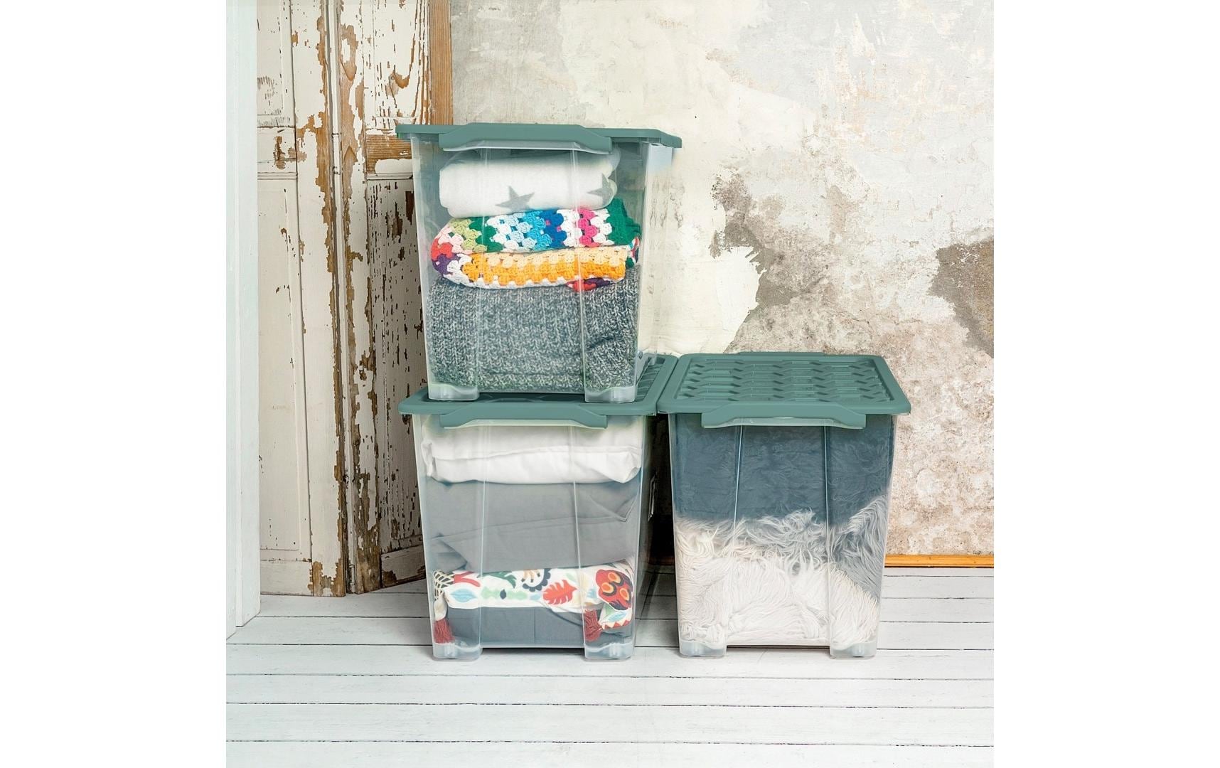 Rotho Aufbewahrungsbox Evo Safe – Kunststoff, transparent/grün, 59 × 41,2 × 39,5 cm
