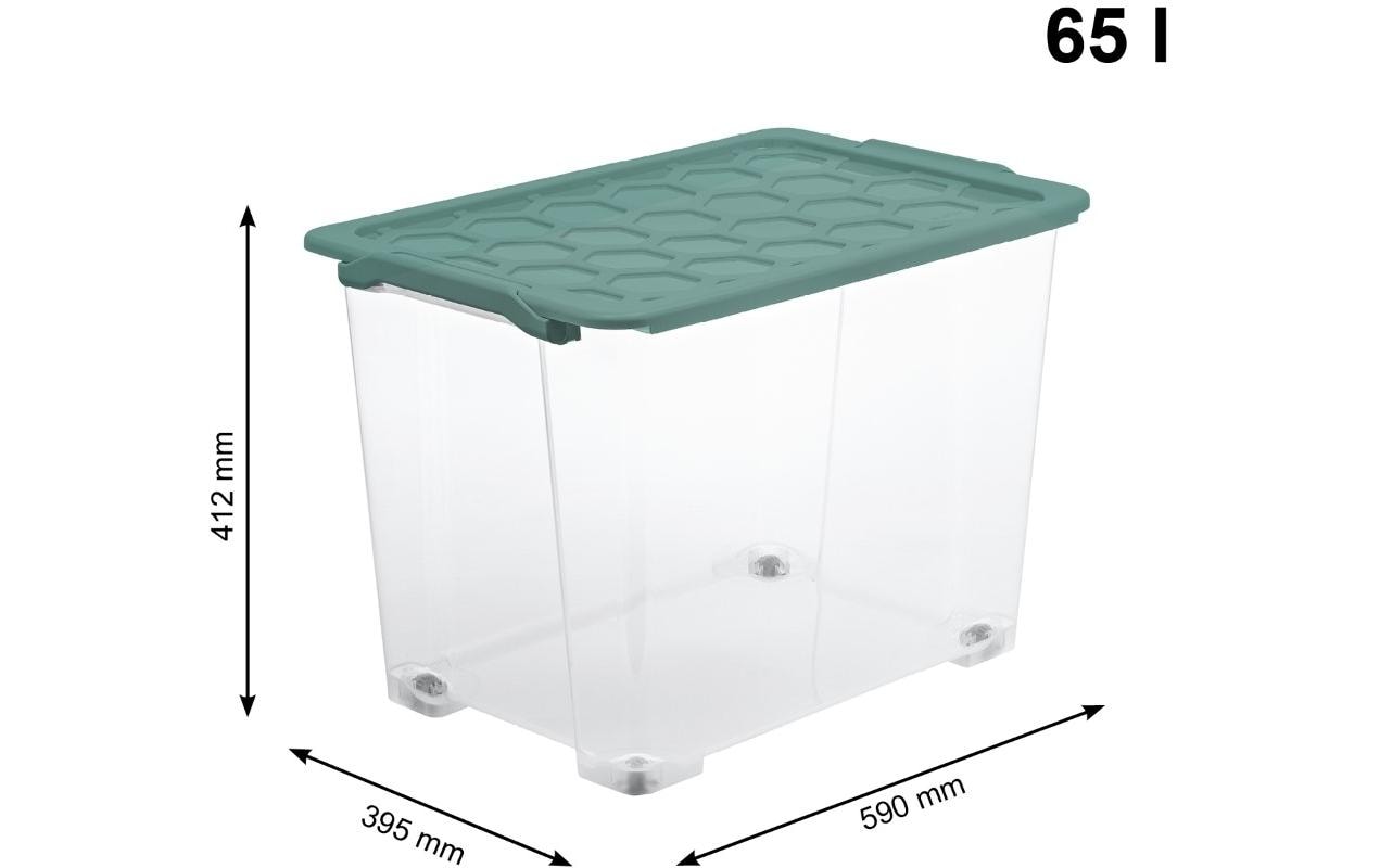 Rotho Aufbewahrungsbox Evo Safe – Kunststoff, transparent/grün, 59 × 41,2 × 39,5 cm