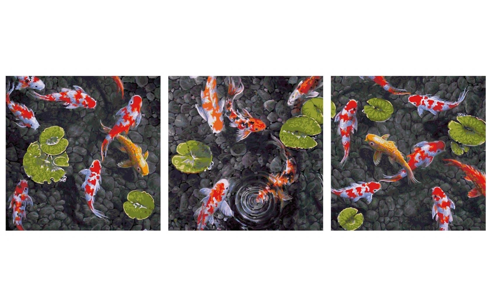 Schipper Malen-nach-Zahlen-Set – Koi Juwel im Fischteich – 3-teilig, je 40 × 40 cm – ab 14 Jahren