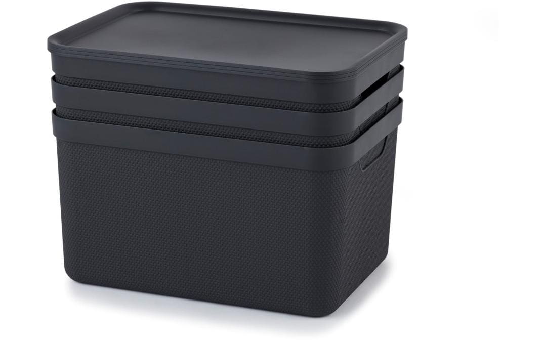 Rotho Aufbewahrungsbox 16 l (mit Deckel) – Recycling-Kunststoff – Grau – 260 × 200 × 359 mm