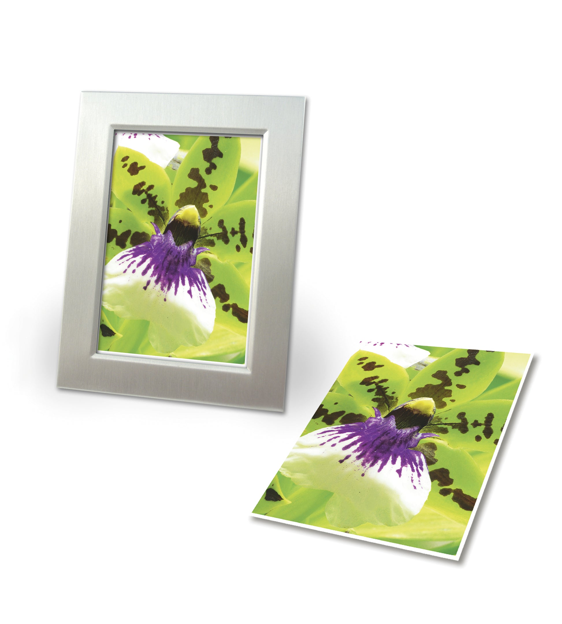 Avery Premium Fotopapier – seidenmatt, A4, 250 g/m², 20 Blatt – für Inkjet-Drucker
