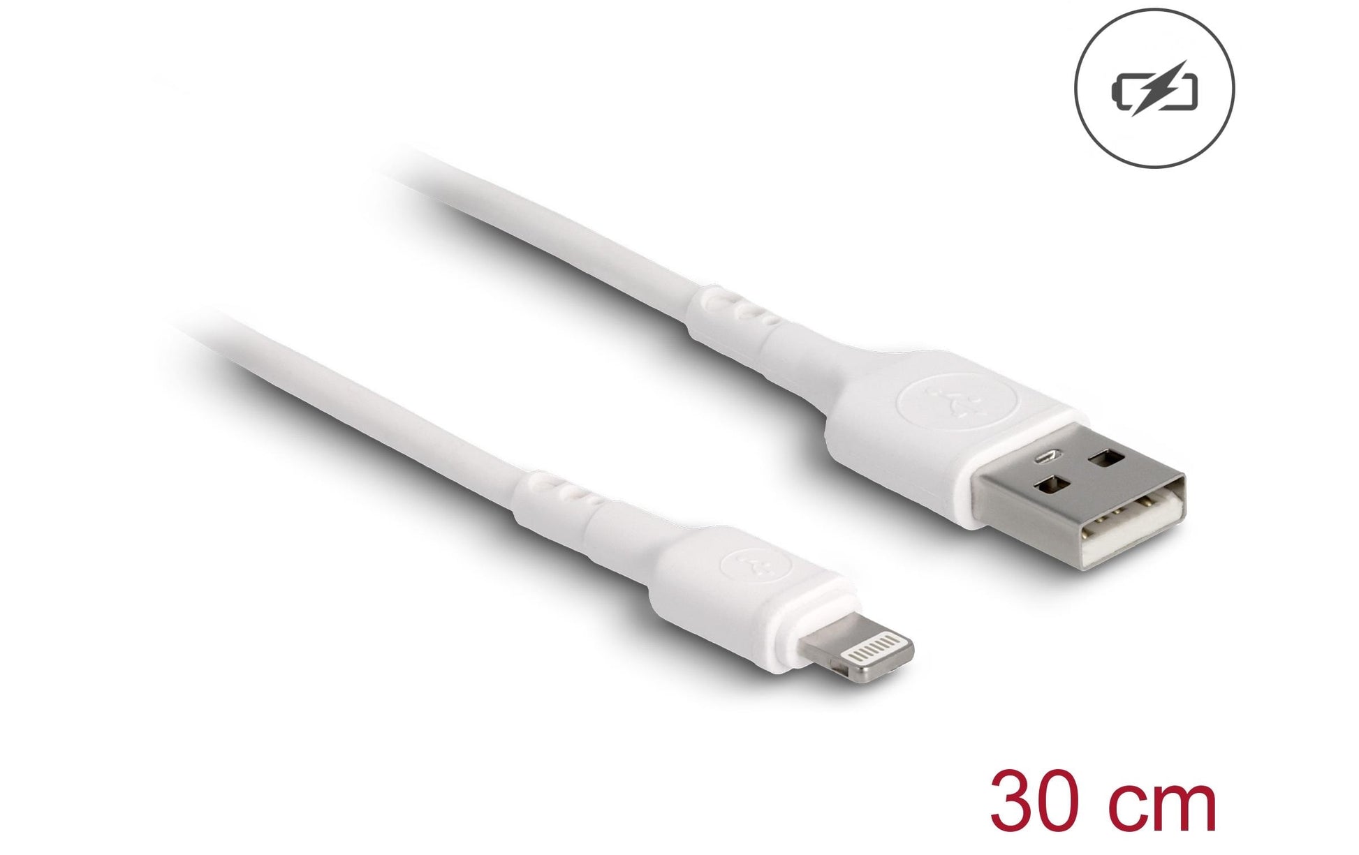 DeLOCK Ladekabel – USB-A auf Lightning 0,3 m, Weiss – für iPhone/iPad