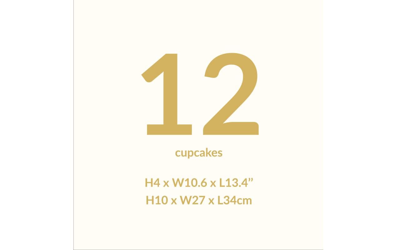 PME Vorratsdose 27 × 34 × 10 cm, Kunststoff, Transparent, für 12 Cupcakes
