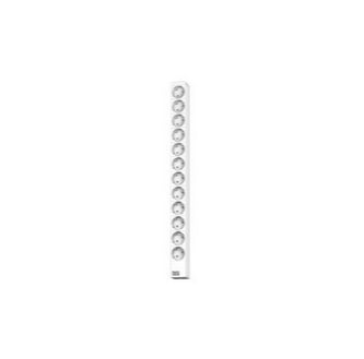 Bachmann Rack-PDU Basic, 1U, einphasig 3,6 kW (16 A), 12×AC-Ausgänge, 2 m – grau