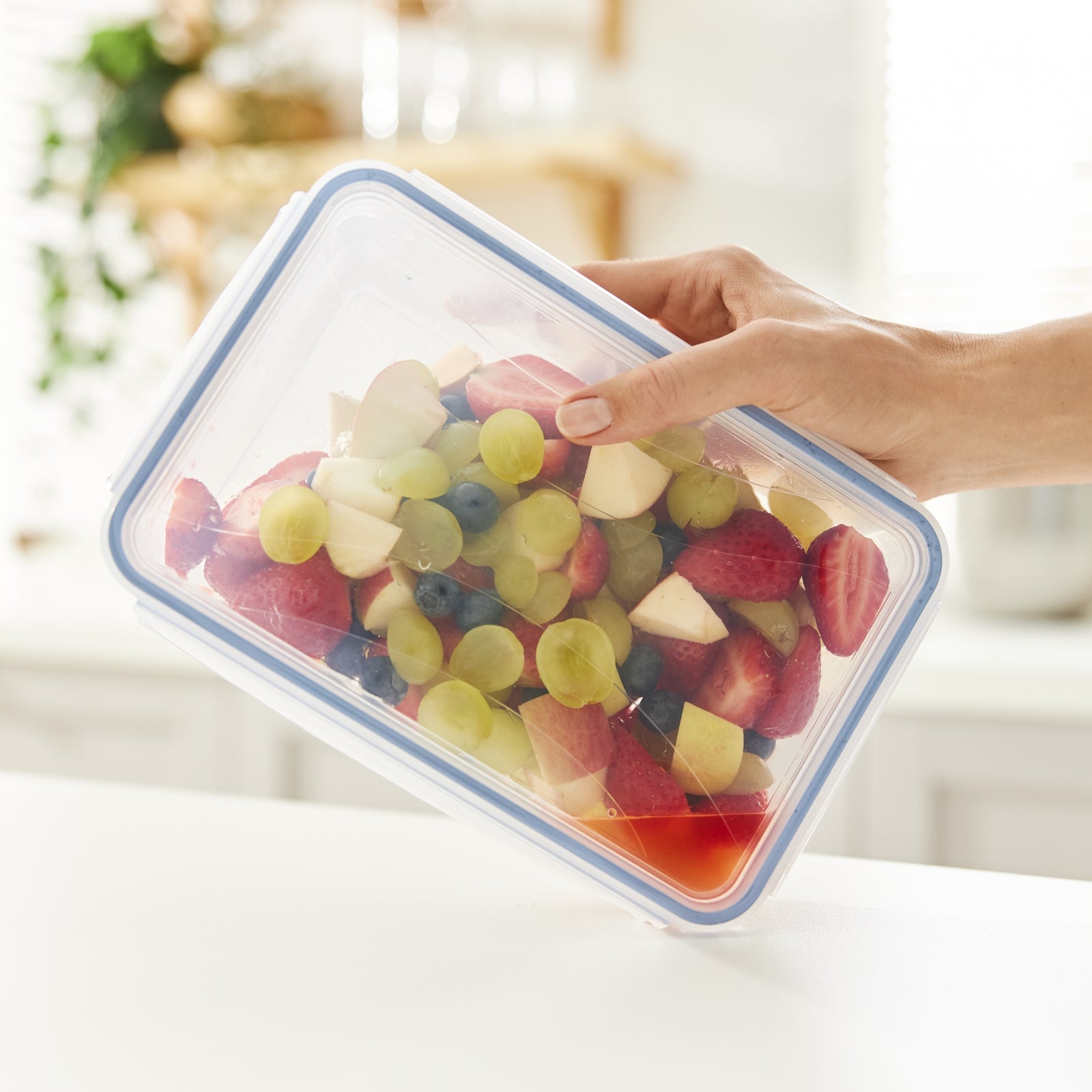 Rotho Kühlschrankdose Clic & Lock – 1,5 l – rechteckig – 23,9 × 7,1 × 16 cm – PP – transparent