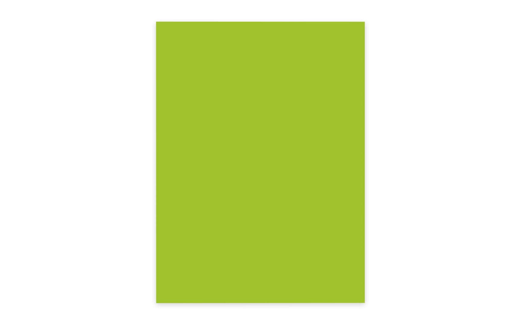 Elco Kopierpapier – A4, 80 g/m², intensivgrün – für Inkjet/Laser/Kopierer – FSC – 100 Blatt