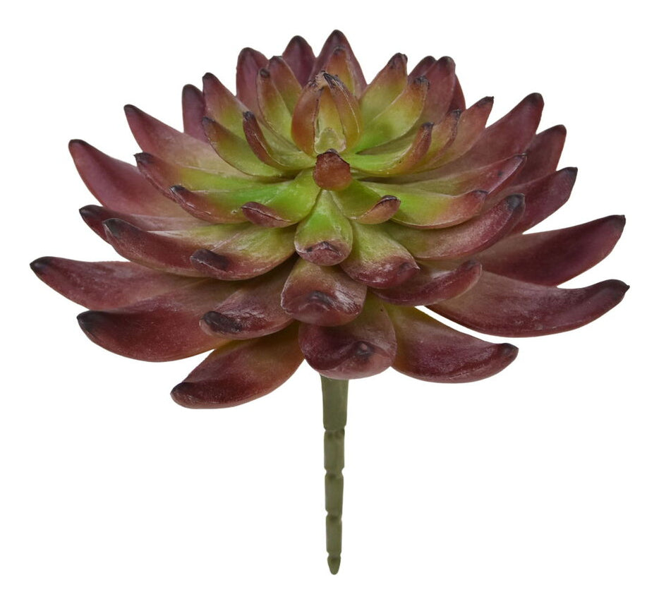Botanic-Haus Echeveria Kunstpflanze – Ø 15 × 14 cm – Kunststoff, Grün – 8er-Pack