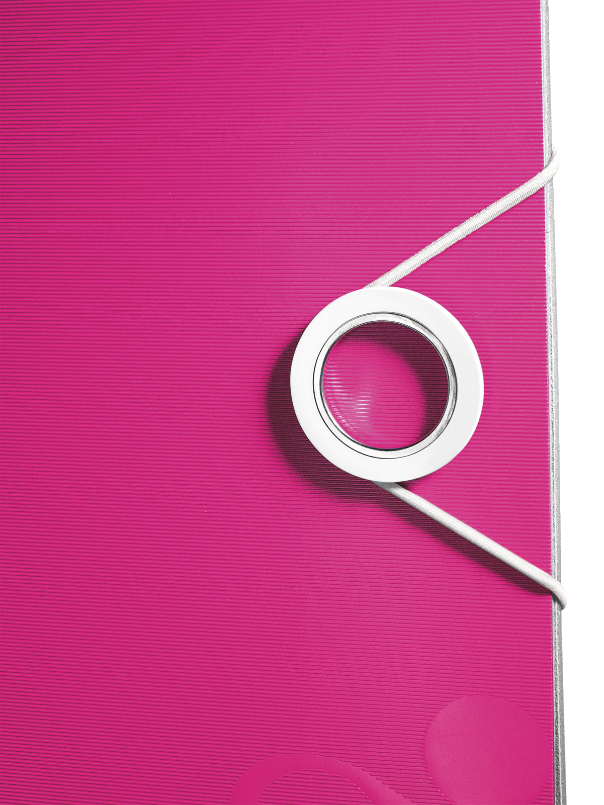 Leitz Ringbuch – 2-Ring – für A4 – Rückenbreite 8,2 cm – Pink