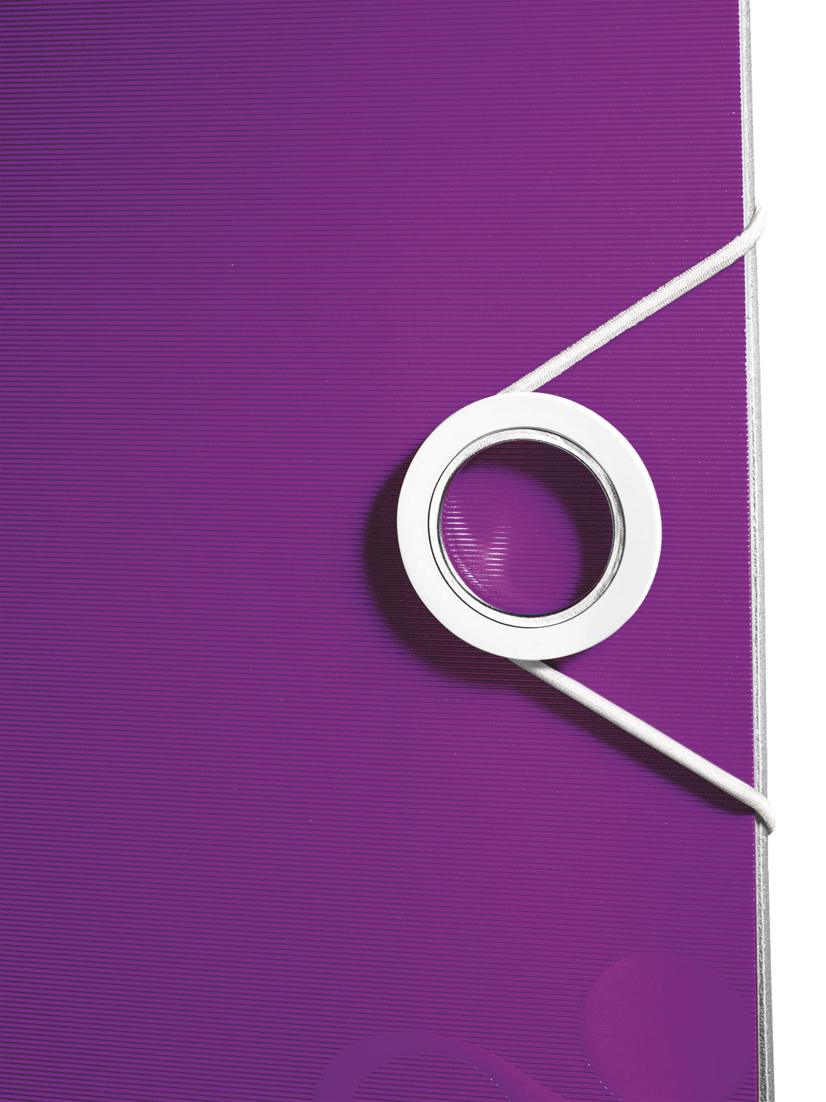 Leitz Ordner – A4 hoch – 2-Ring Hebelmechanik, Rücken 80 mm – violett, mit Niederhalter, mit Griffloch