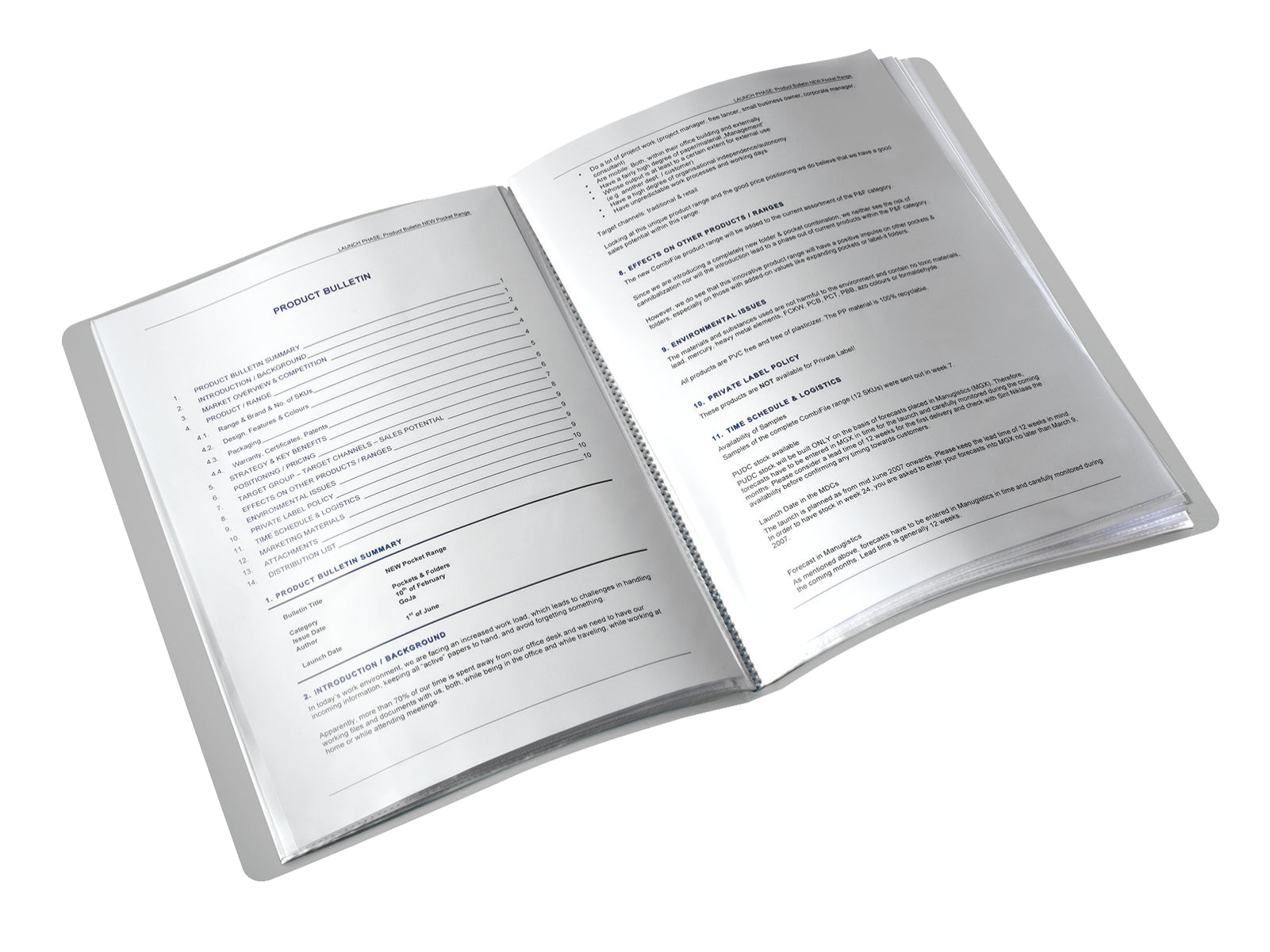 Leitz Sichtbuch A4, 40 Hüllen, PP, Grün – 1 Stück