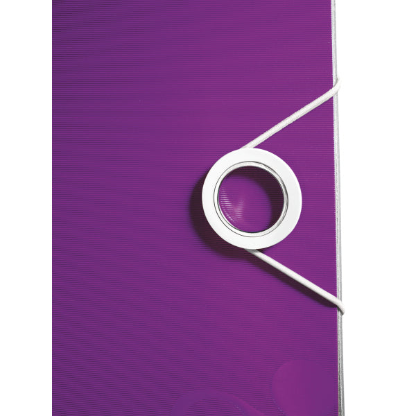 Leitz Active WOW Ringbuch – 2-Ring – für A4 – Rückenbreite 6,5 cm – Violett